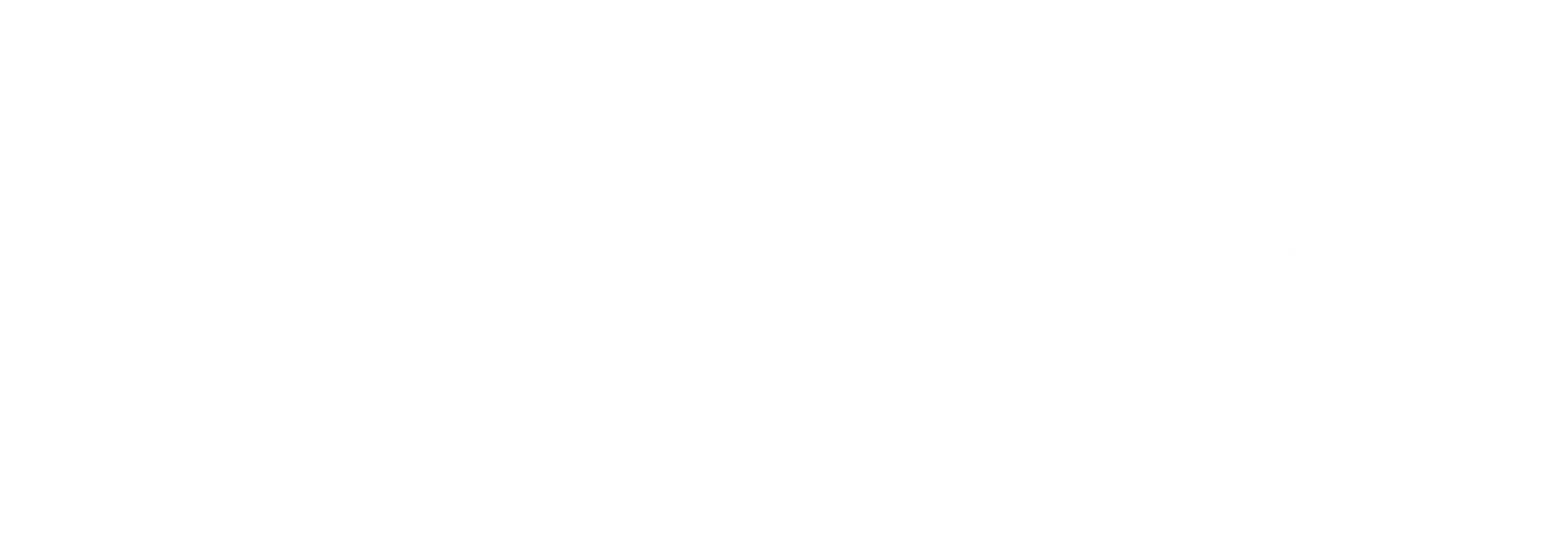 LOGO - LITESERVICE BRANCA